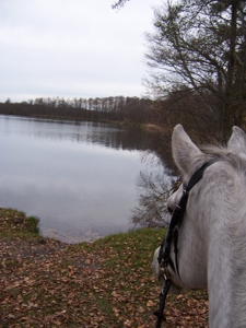 Seele baumeln lassen am kleinen Zeschsee